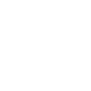 Decoration icon