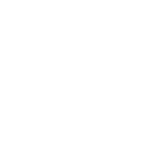 Save icon